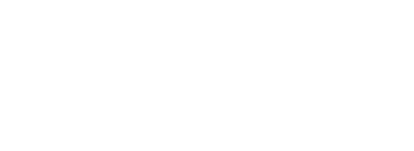 logo horizontal white